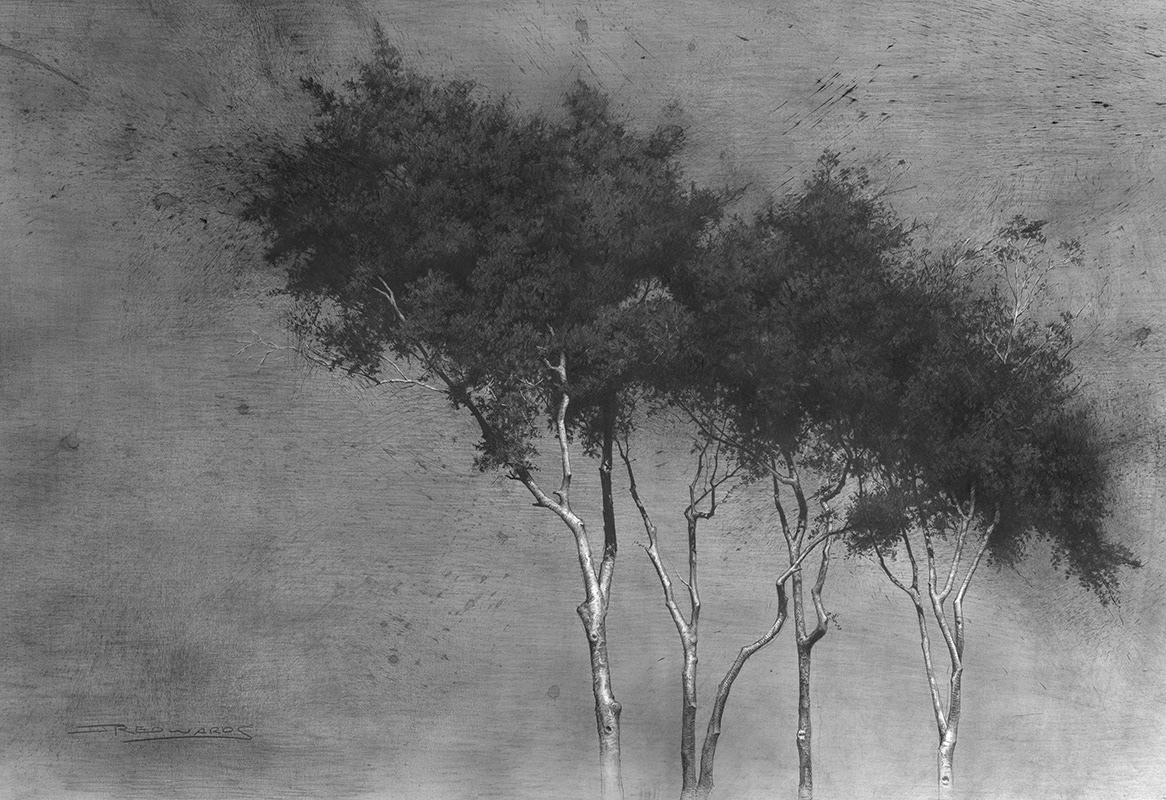 The Music of the Wind 18"x28" Pencil and Charcoal on Paper