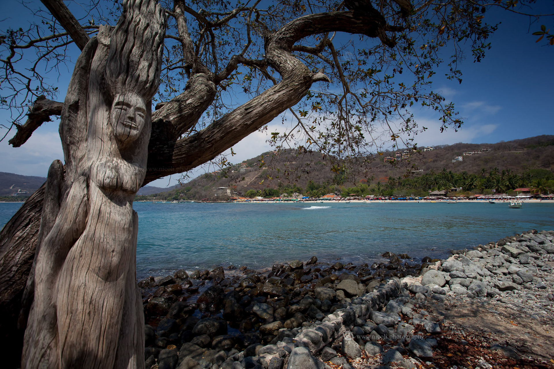 IXTAPA, ZIHUATANEJO/MEXICO -  JUN, 13, 2013: Sculpture carved in wood at PLaya Las Gatas which is accessible only by boat. Ixtapa, Zihuatanejo, Mexico on Jun, 13, 2013.