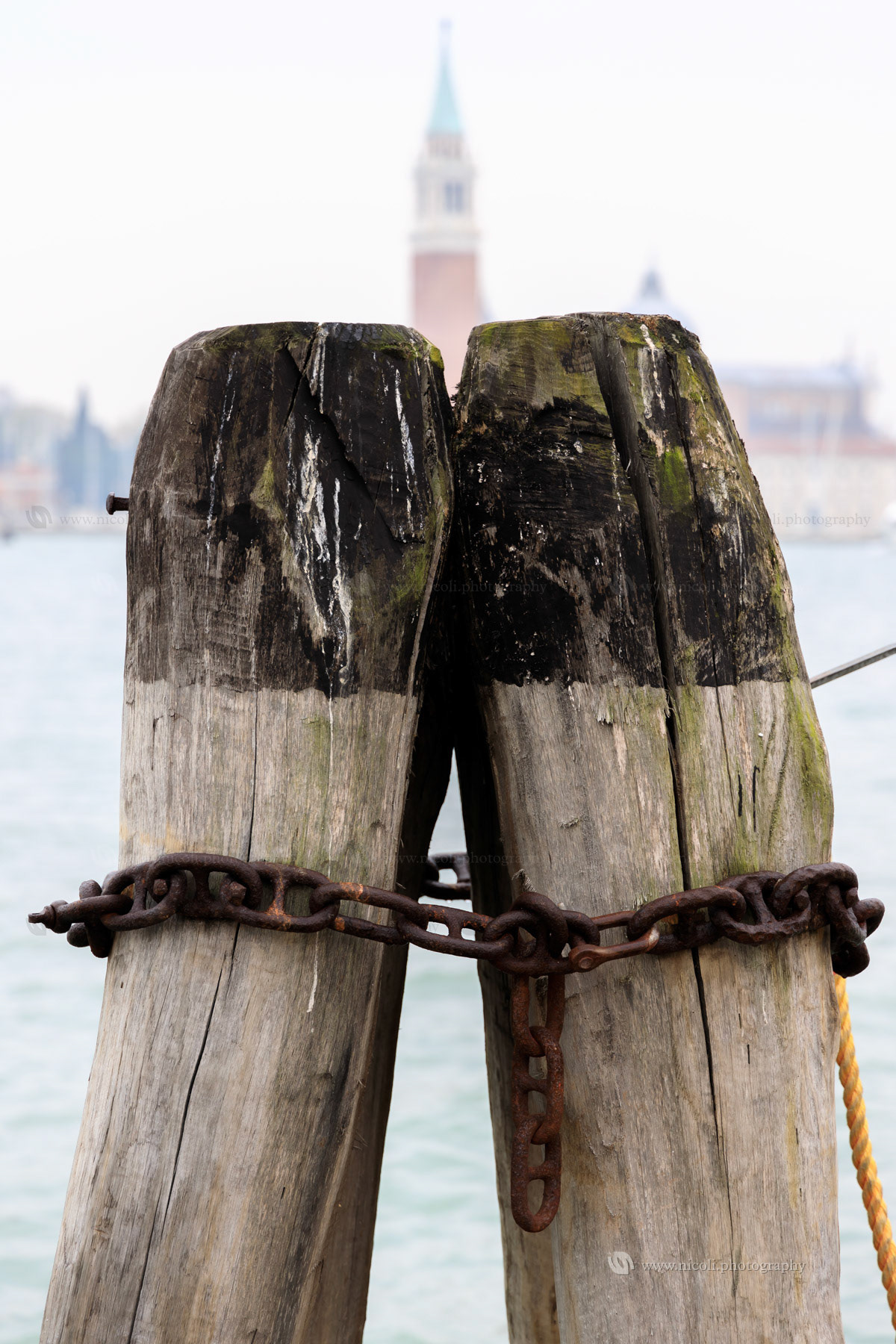 Dock poles close up in Venice, Italy.