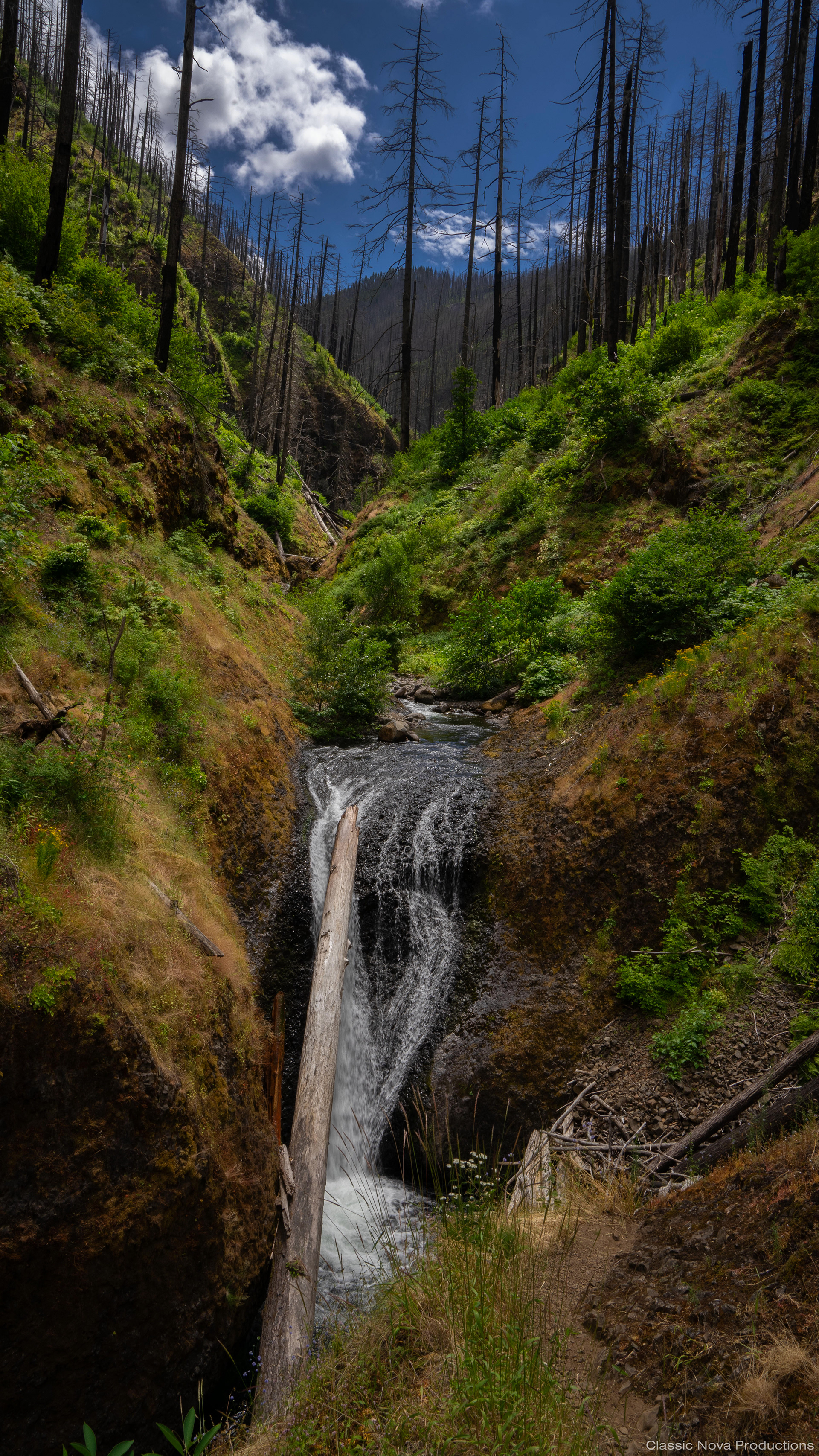 Summer Riverbed - The Gorge, Oregon