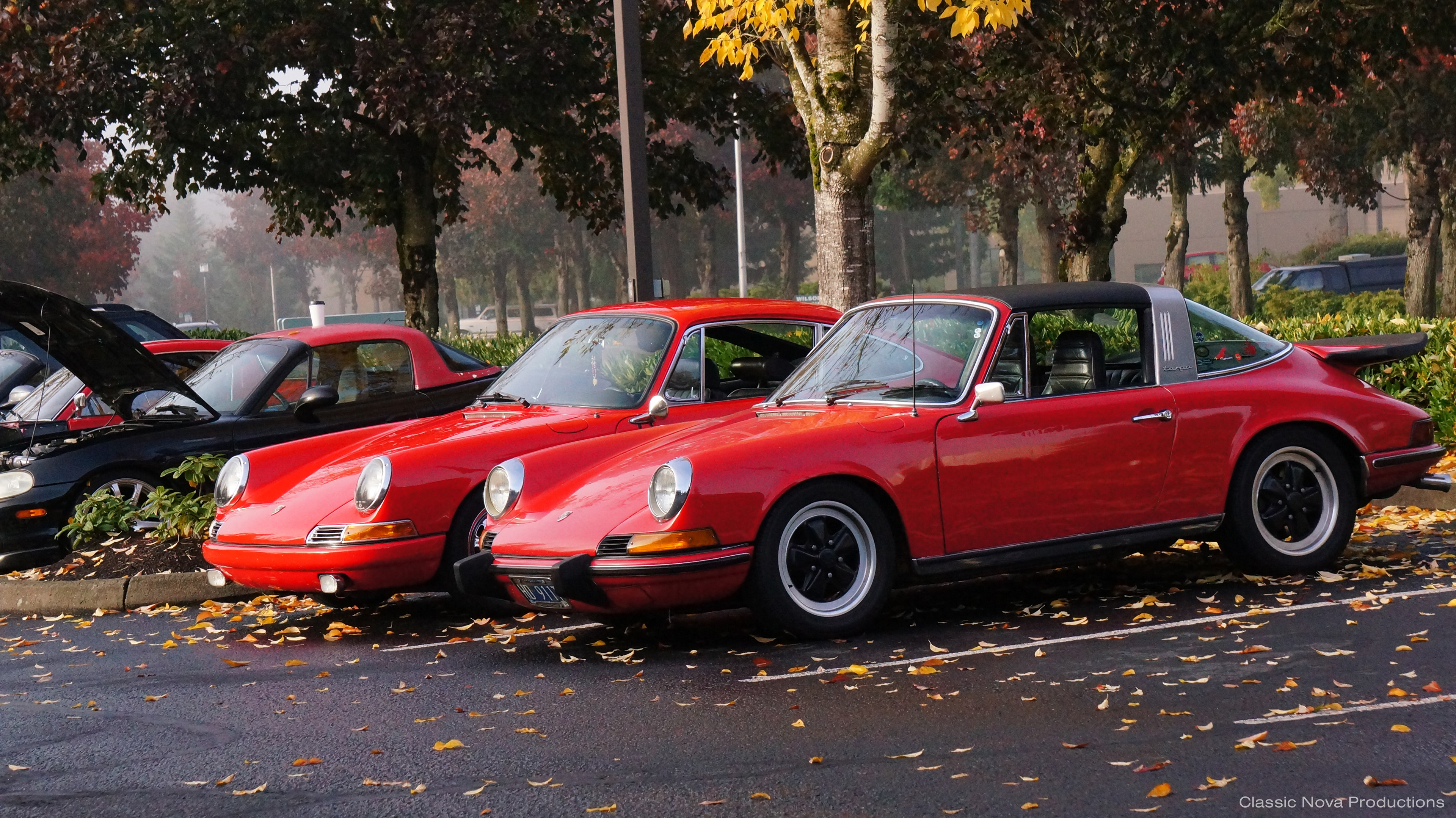 Autumn Morning Meet-Up