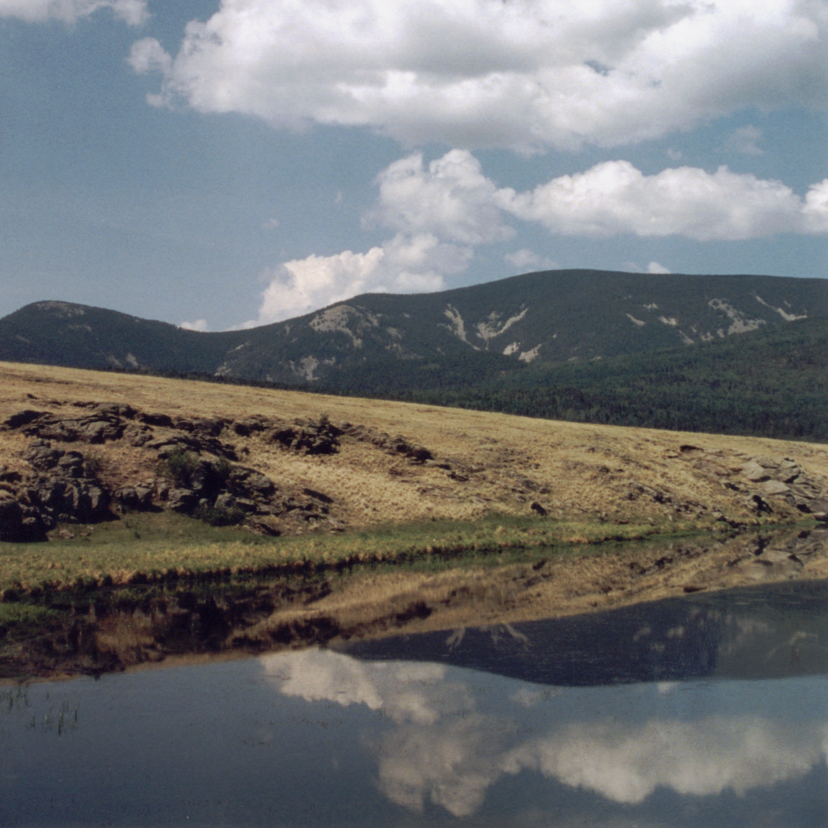 What is Visual Processing Disorder and what to do if you suspect a problem.