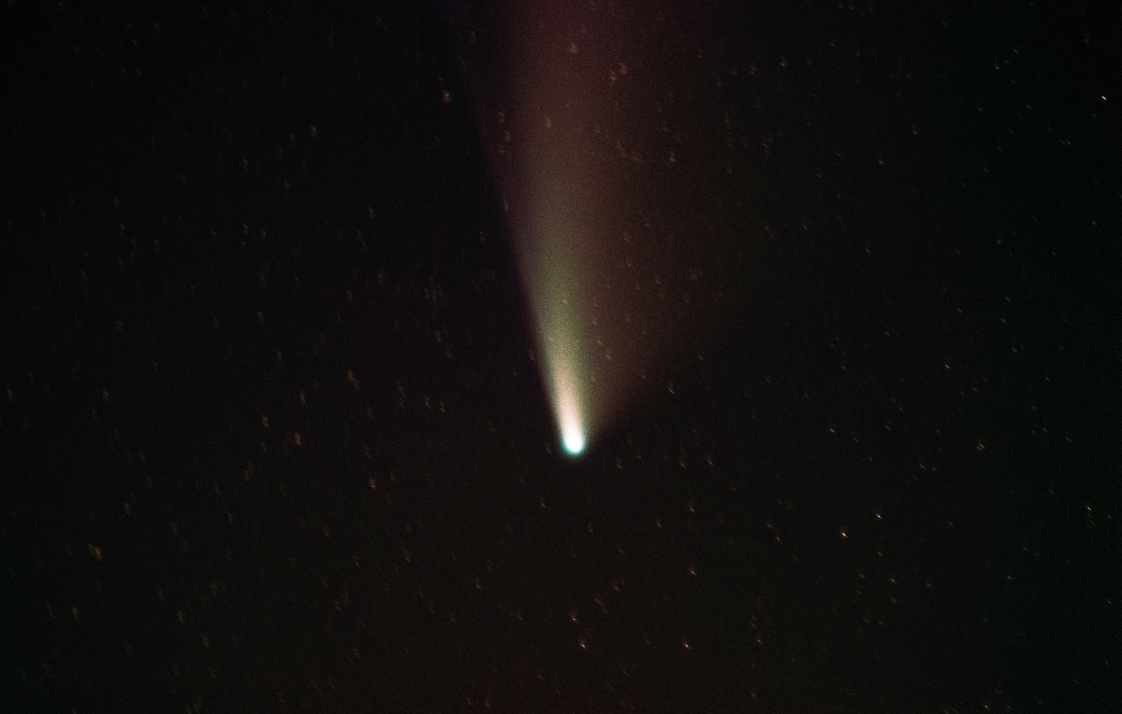 Neowise Comet