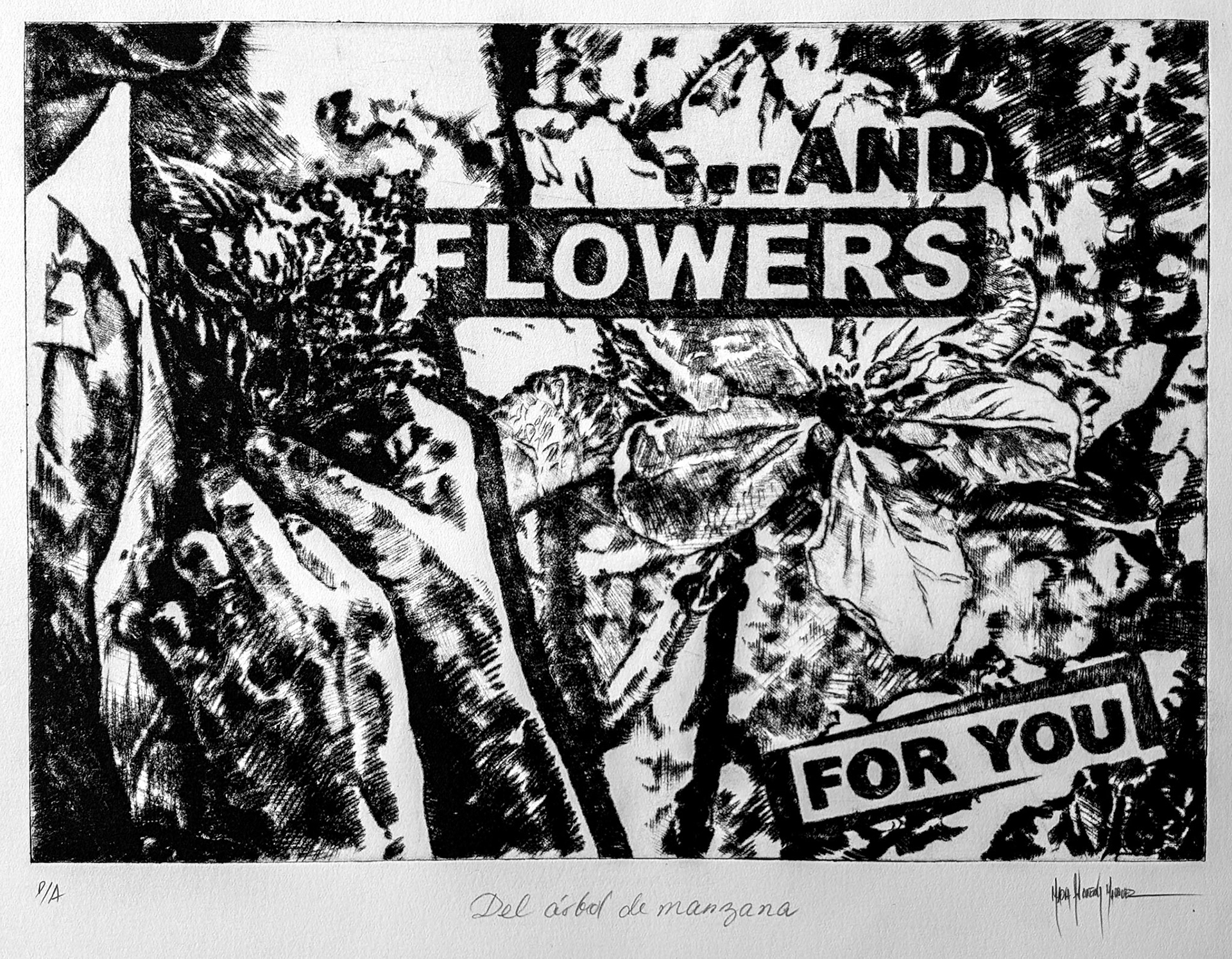 Del Árbol de Manzana. Etching on paper 300 gsm. 39 x 33 cm (29.7 x 21 cm) 2010.