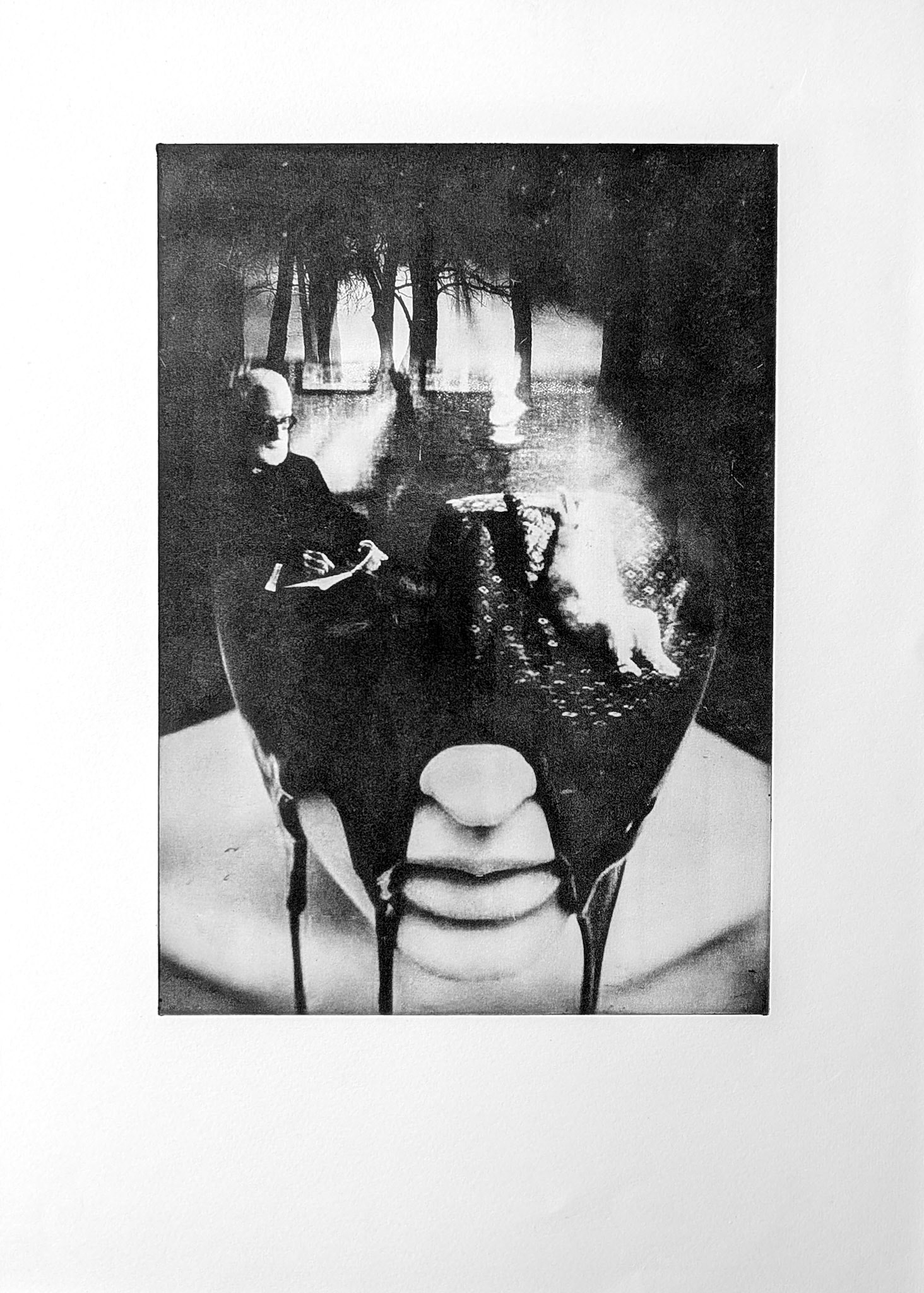 Bunny. Photoetching on paper 300 gsm. 40x50 cm. 2013.