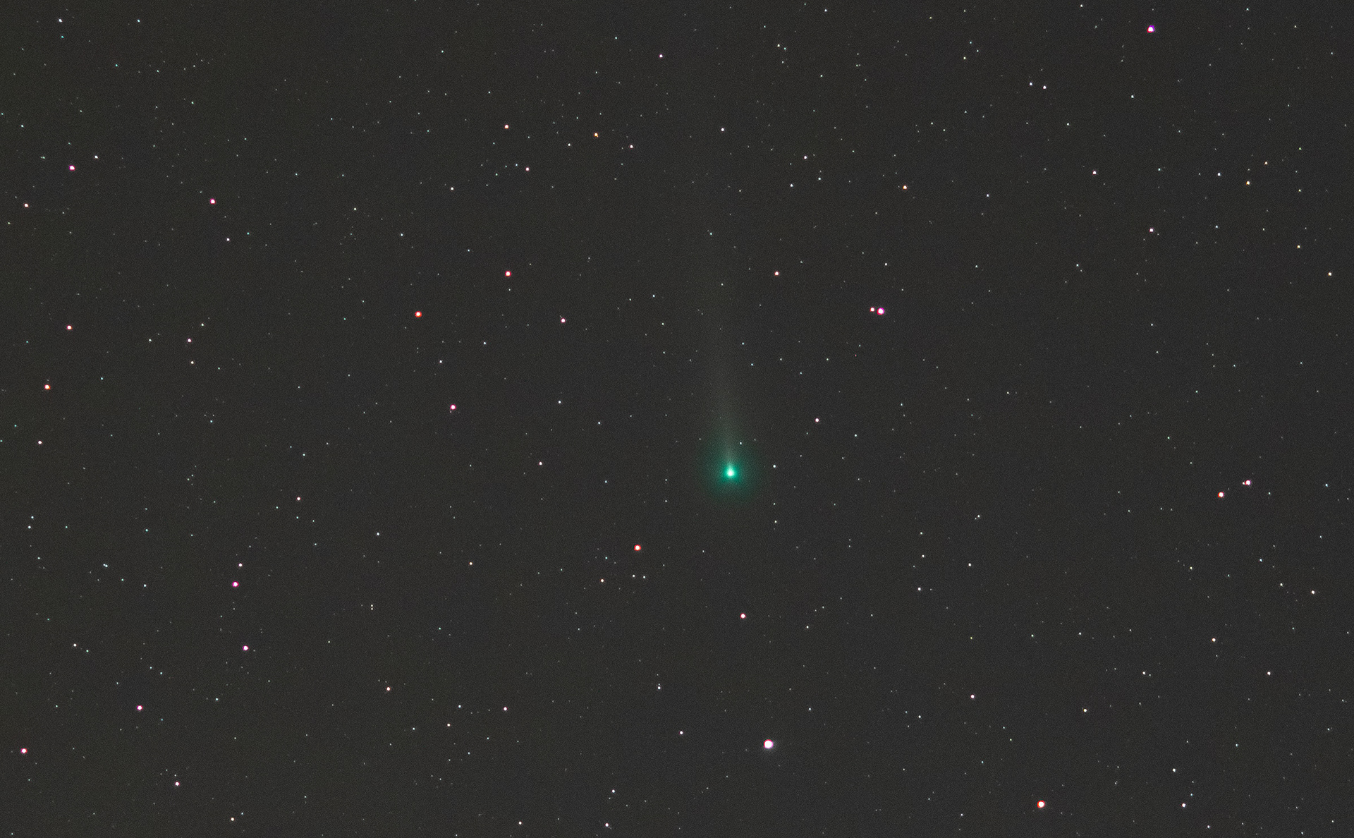 Comet C/2021 Leonard