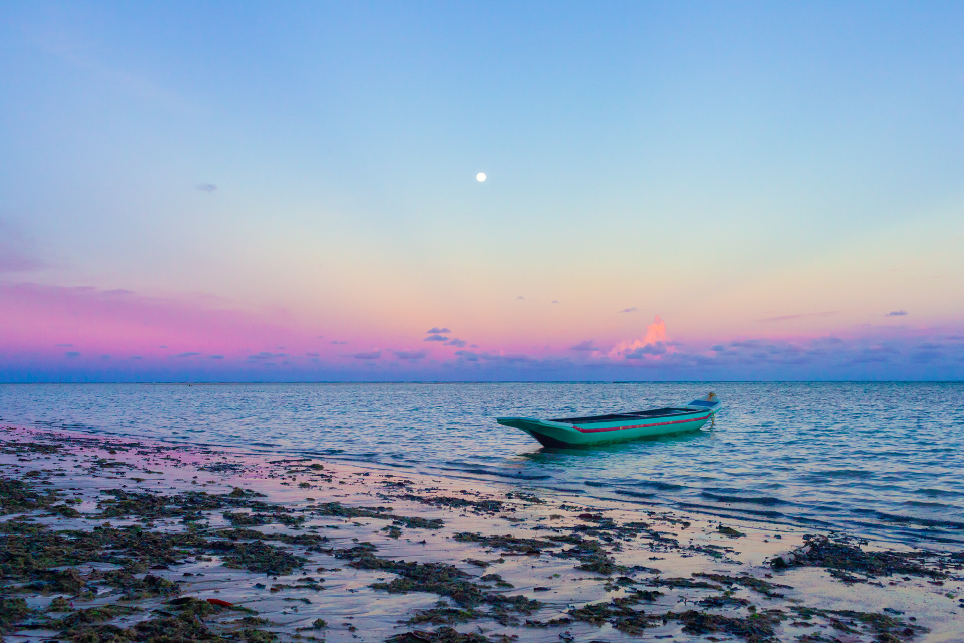Moreré, Bahia, 2014