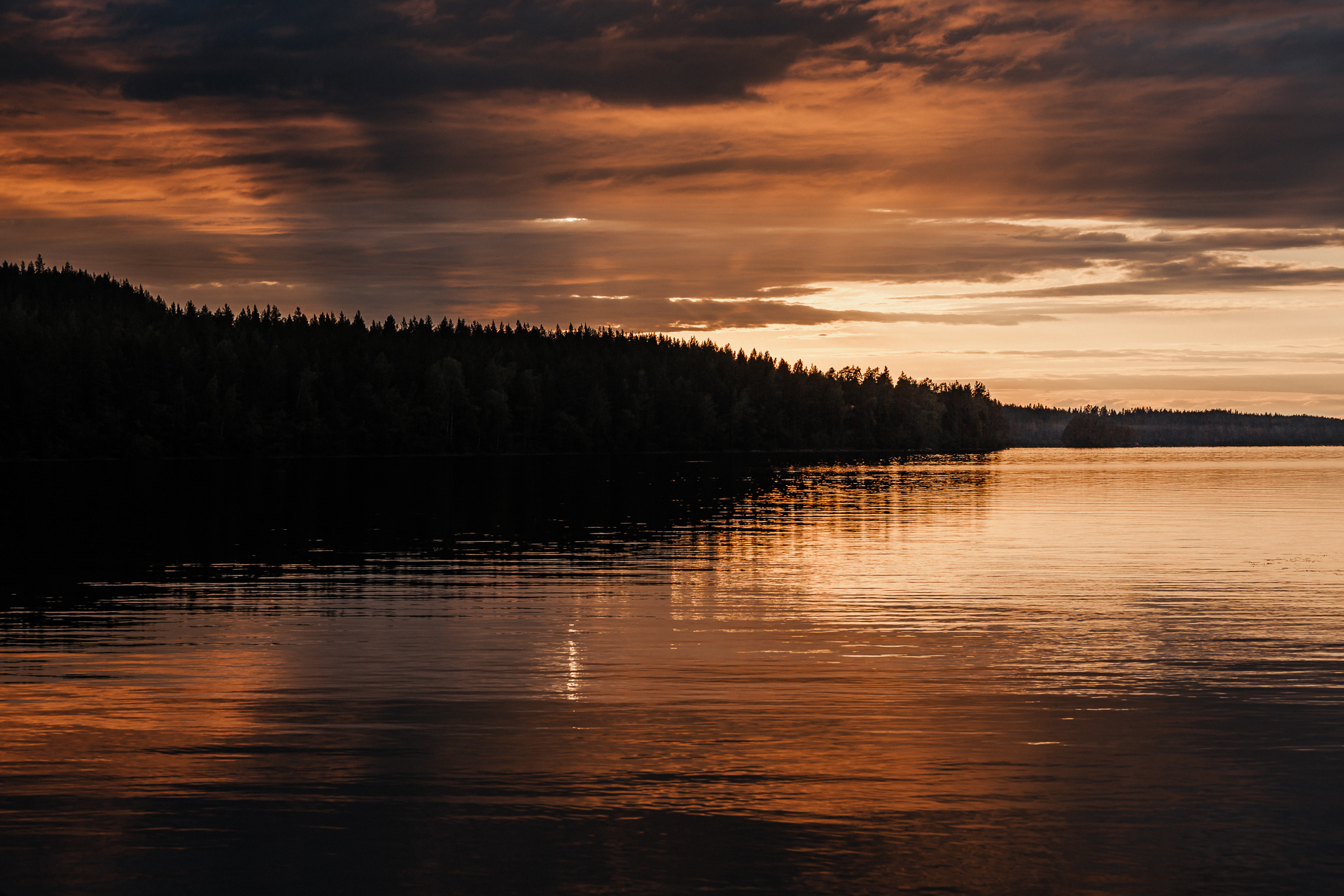 Pielinen, Koli