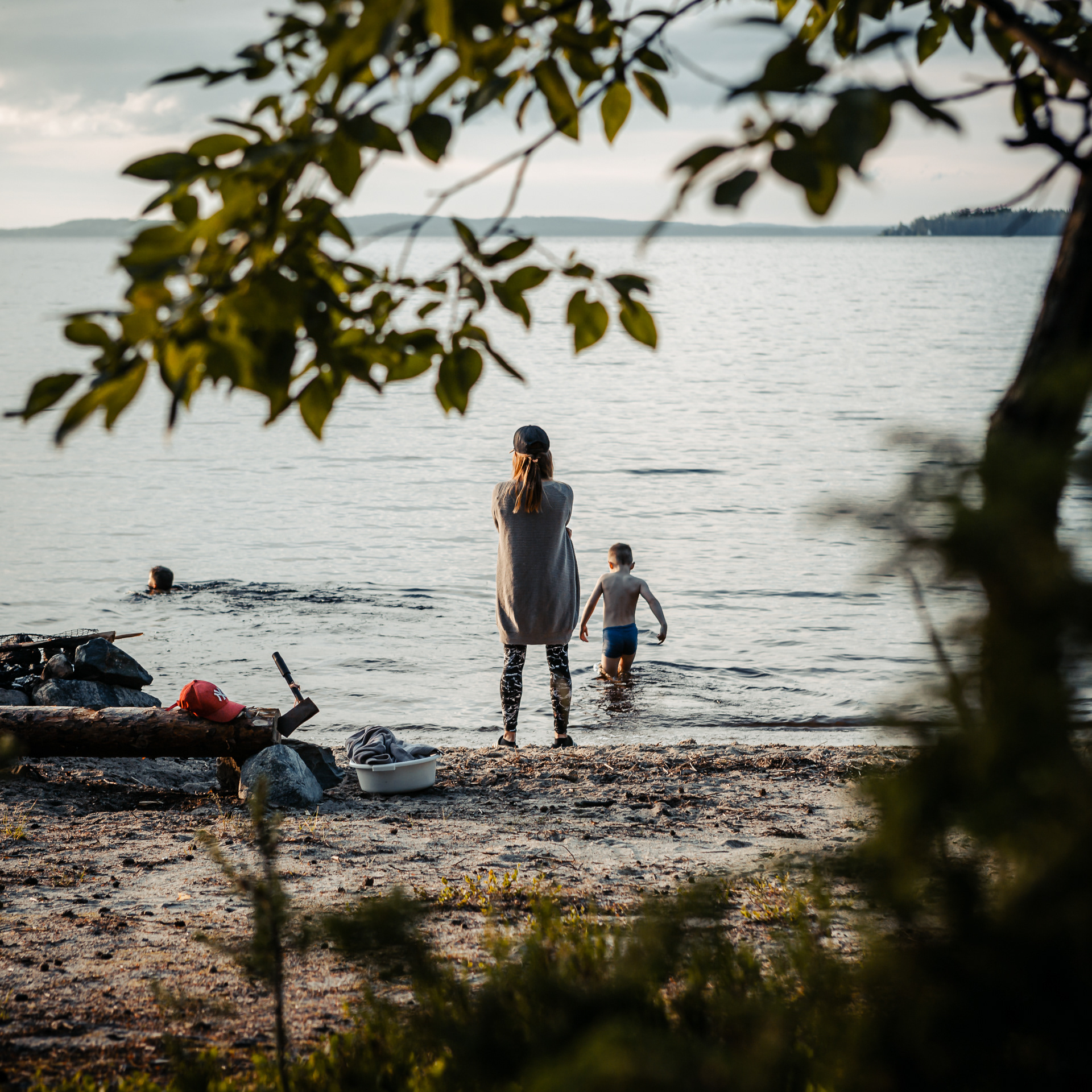 Koli
