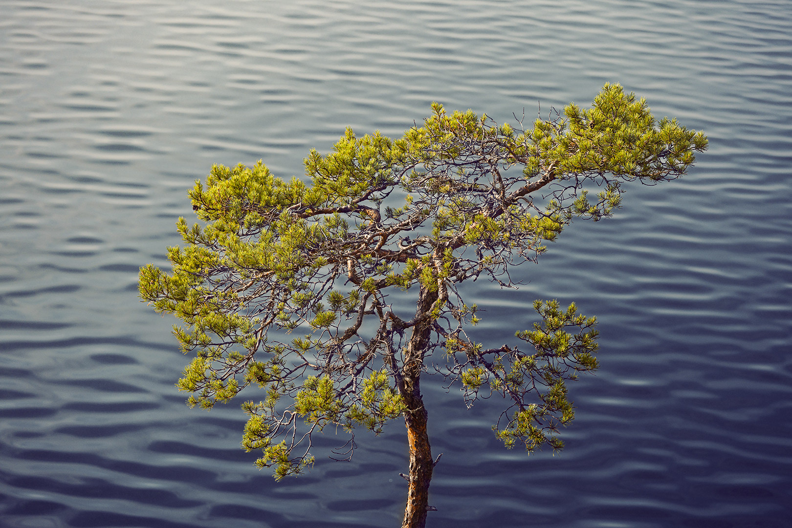 Ahvenanmaa