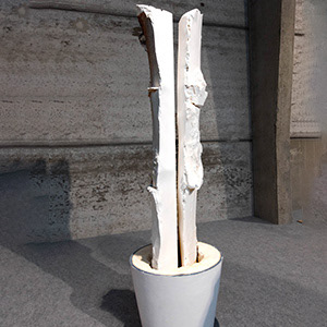 © 2025 Fotografie Curd Devos