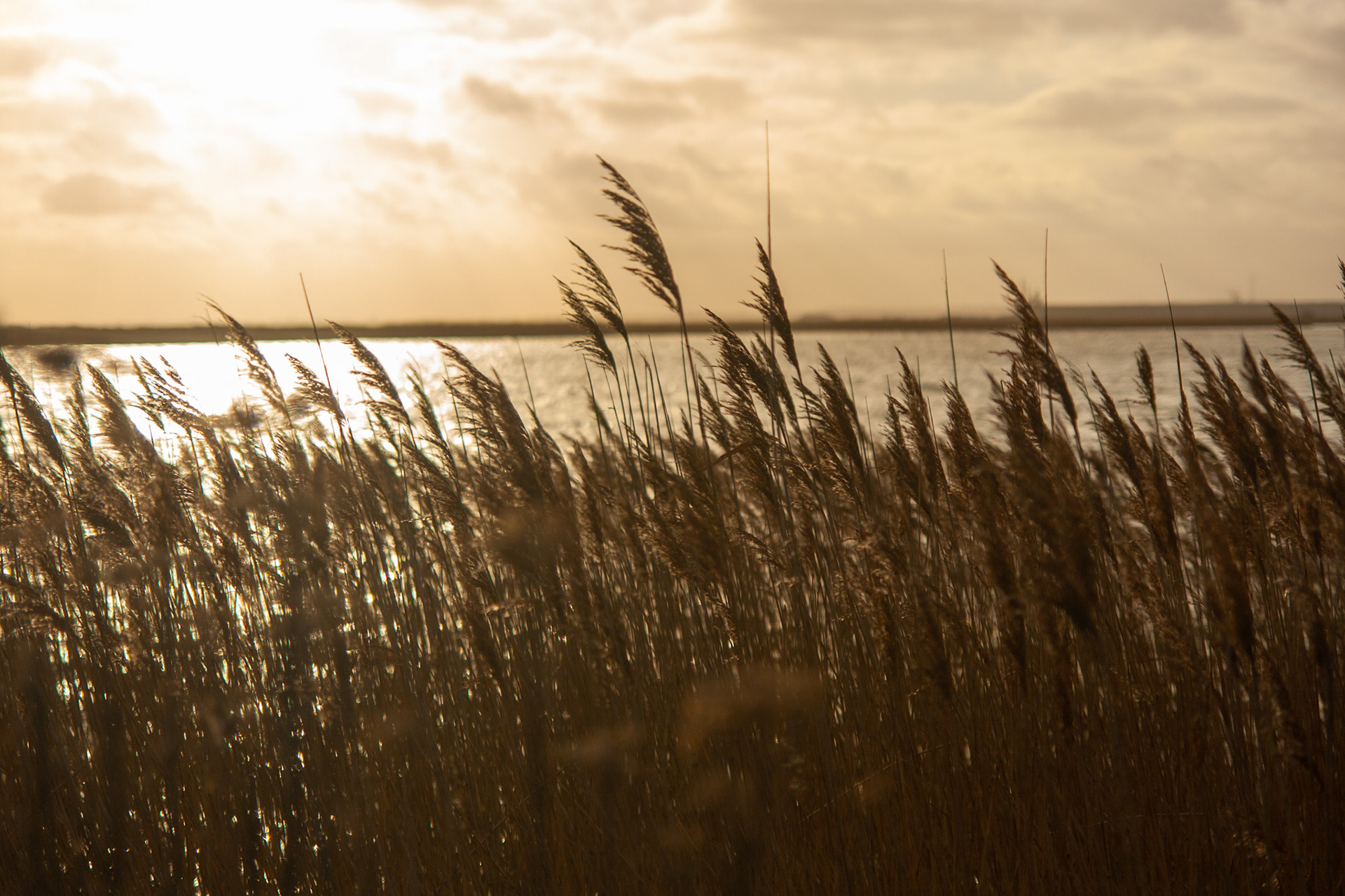 Køge beach, Denmark