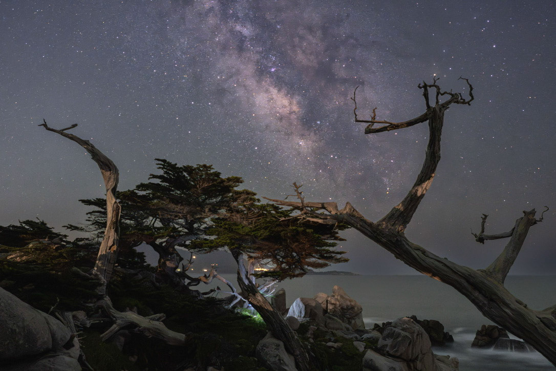 California, United States, April 2023