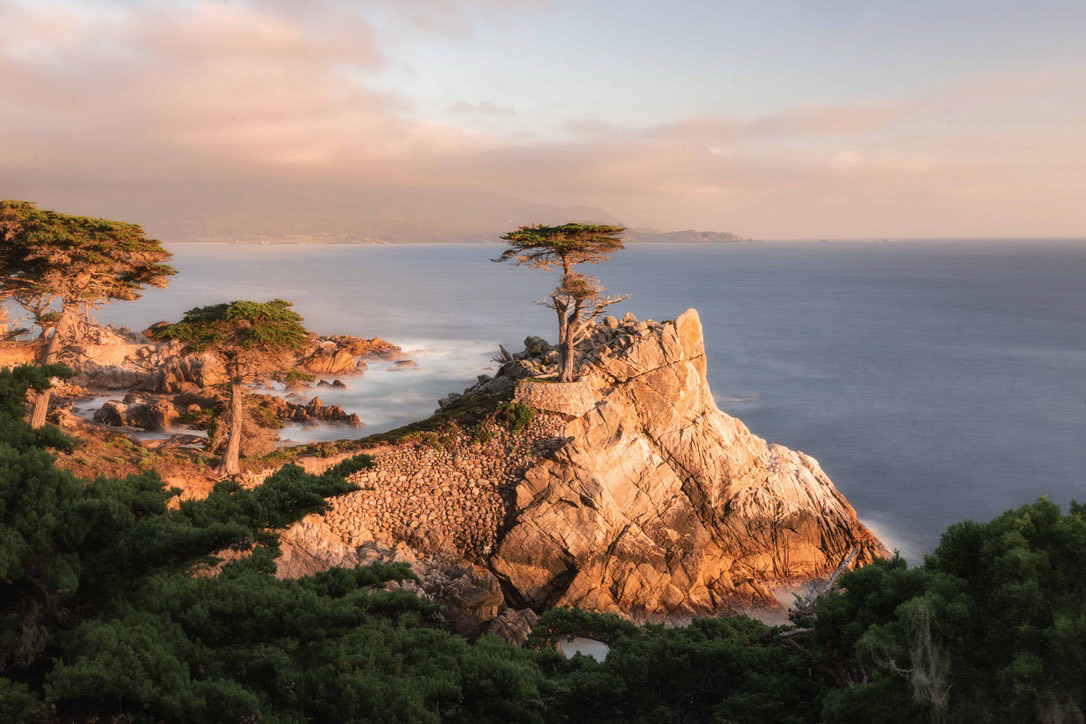 Califonia, United States, April 2024