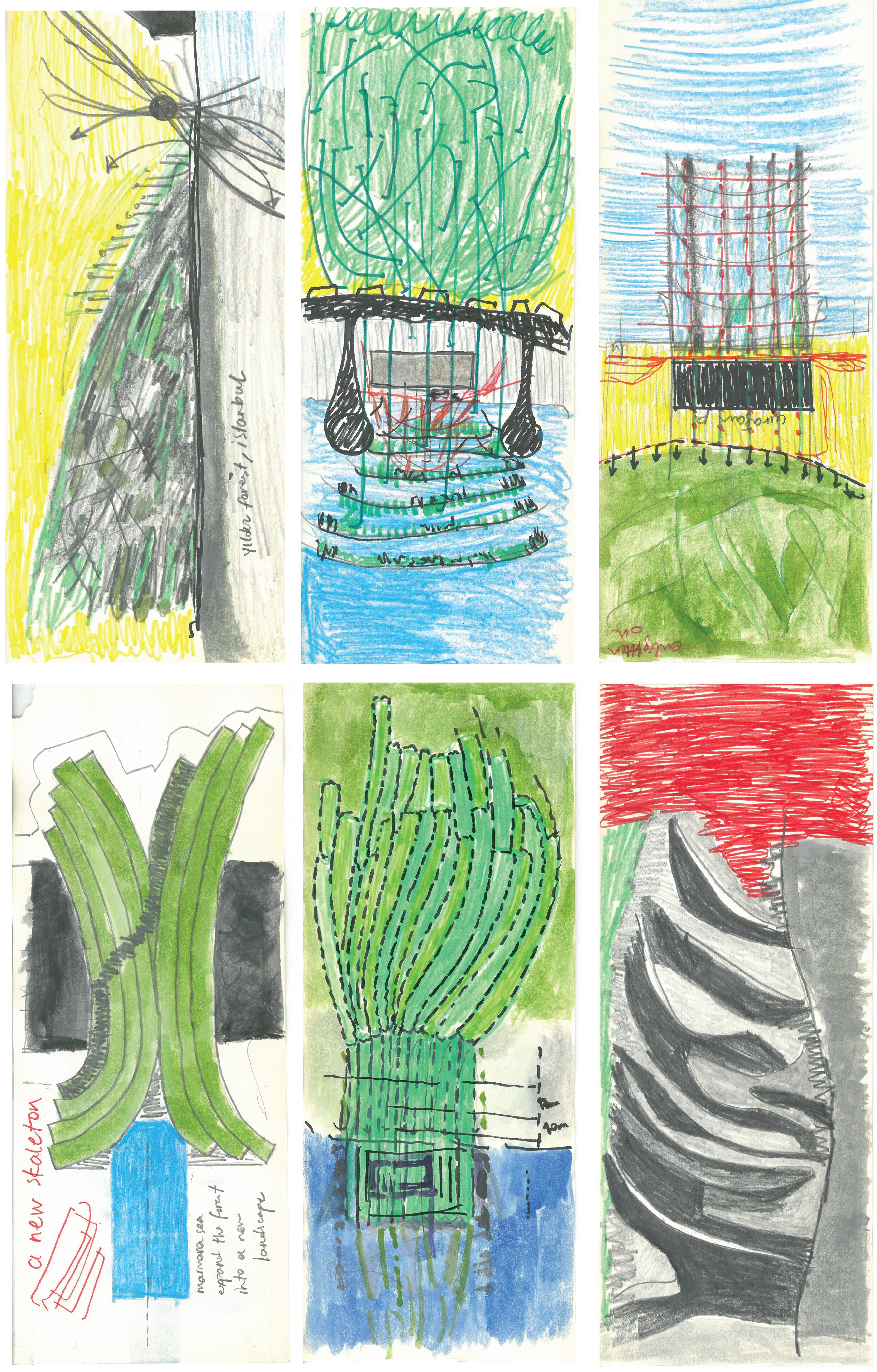 Preliminary images of a forest laboratory by the Bosphorus.