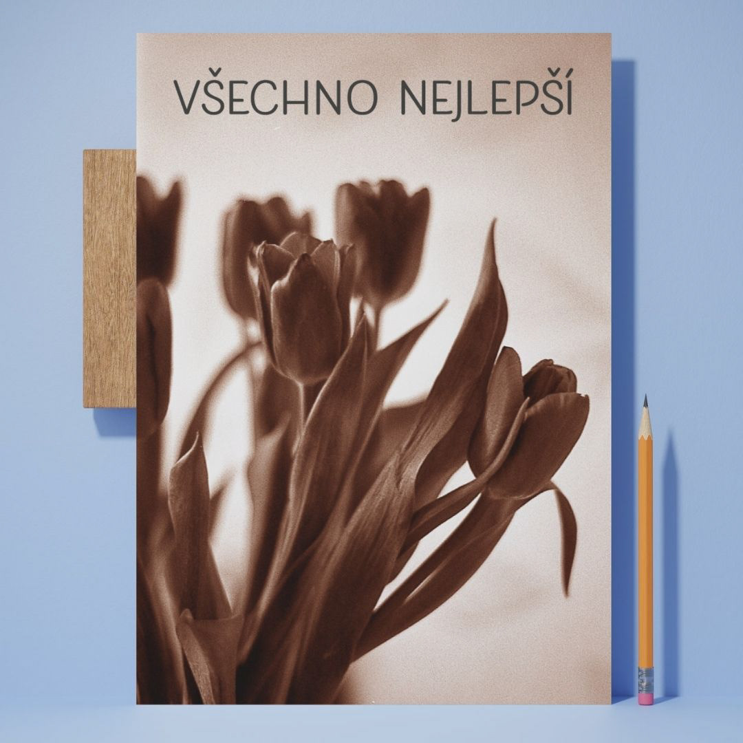 přání Všechno nejlepší – tulipány