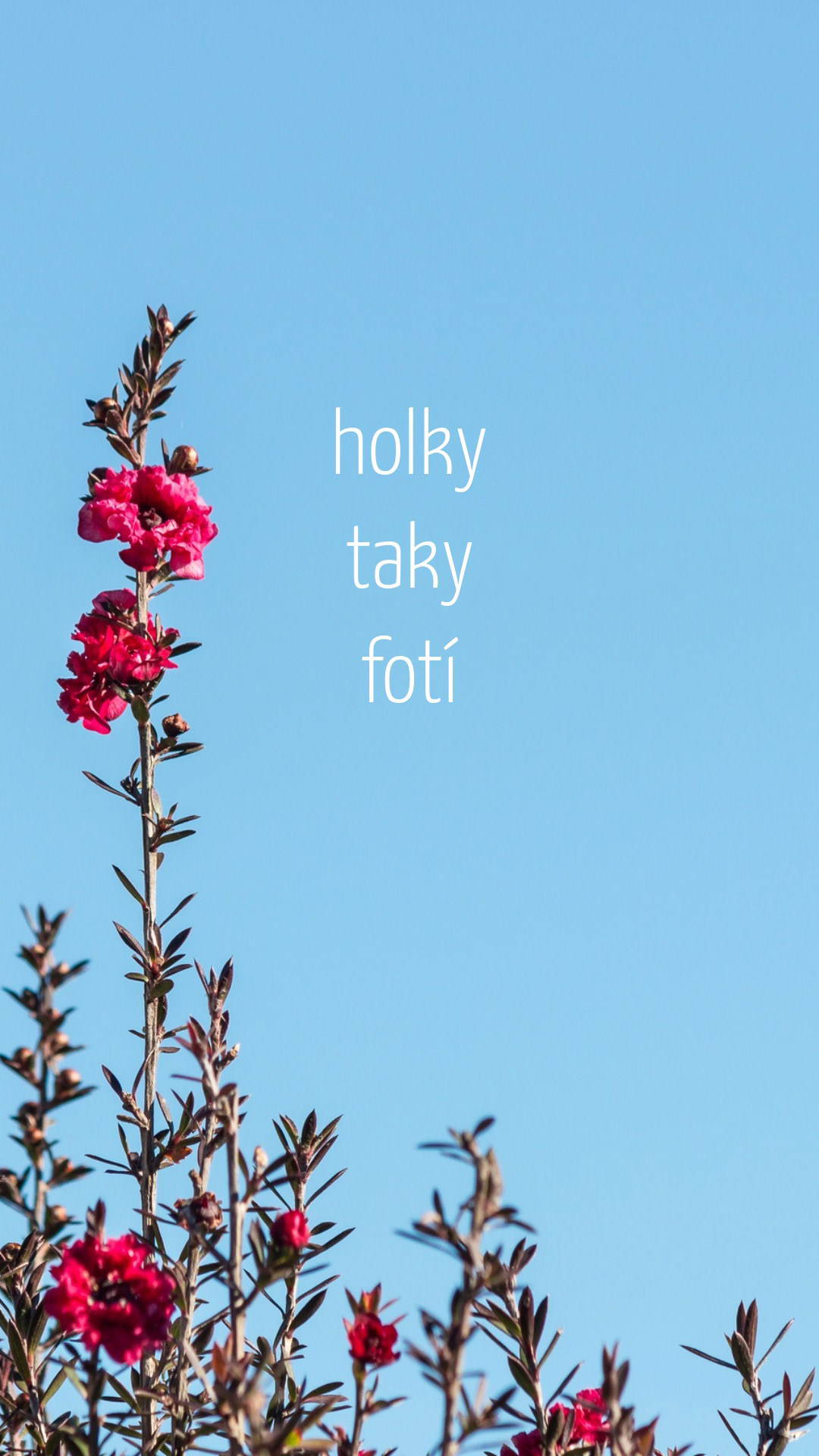 Holky taky fotí