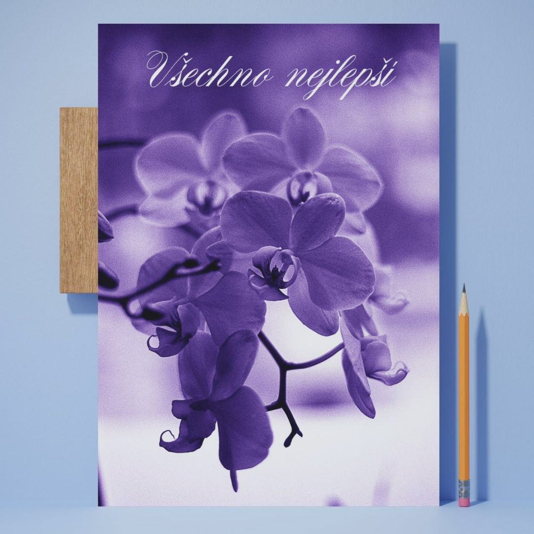 přání Všechno nejlepší – orchidej