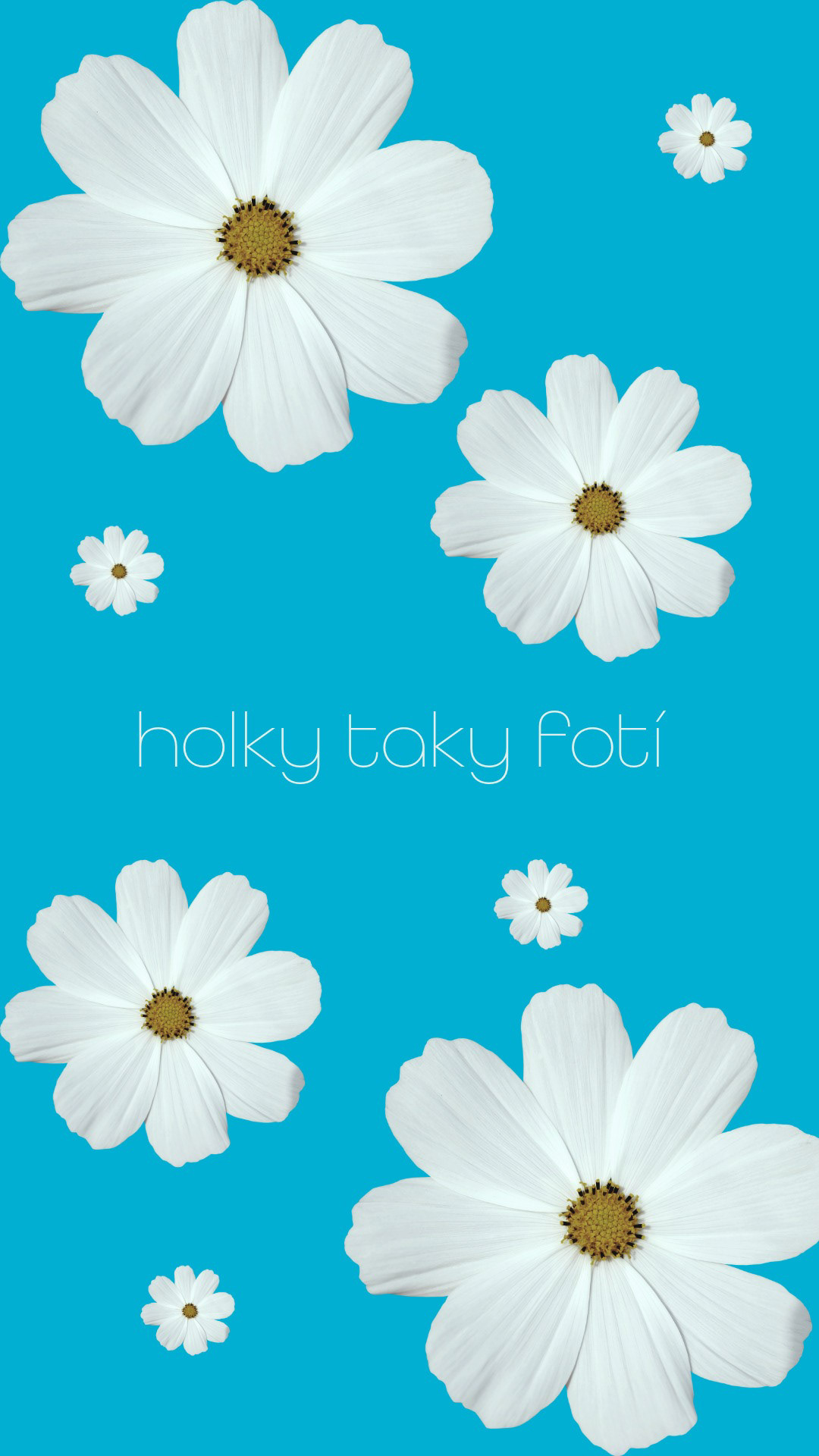 Holky taky fotí 1