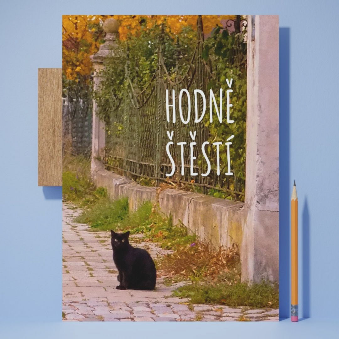 přání Hodně štěstí – černá kočka