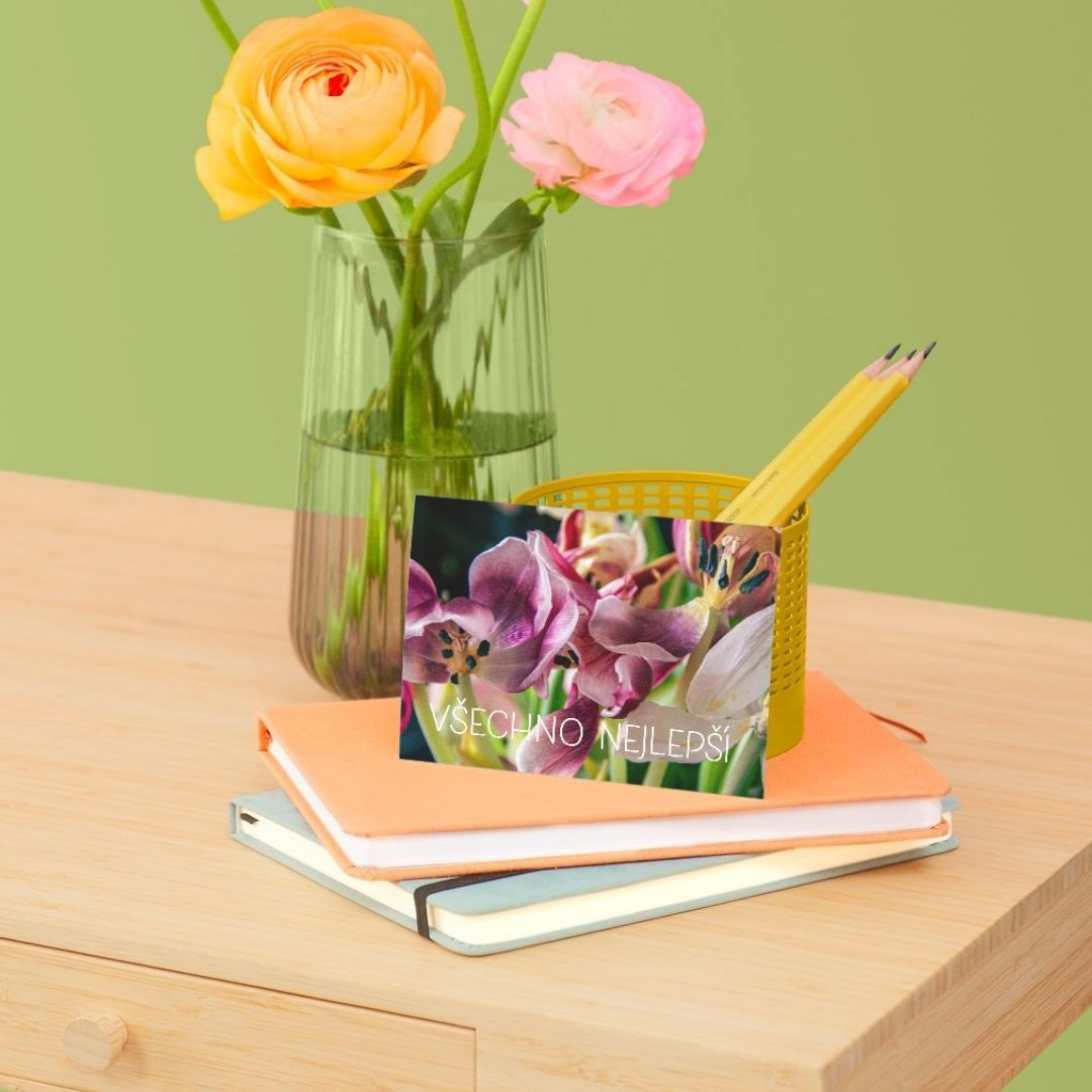 přání Všechno nejlepší – tulipány barevné