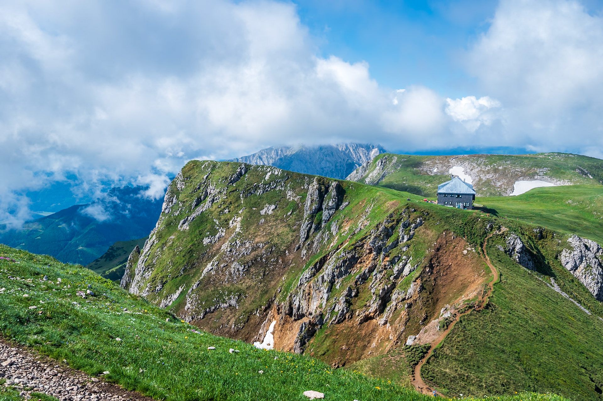 NZ6_6437