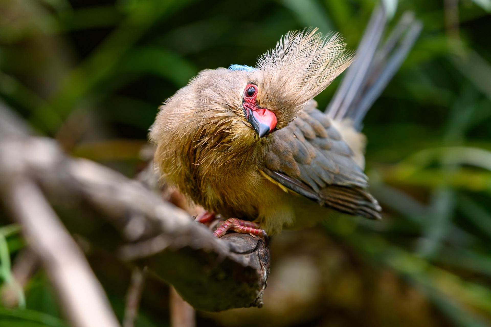 NZ6_0620