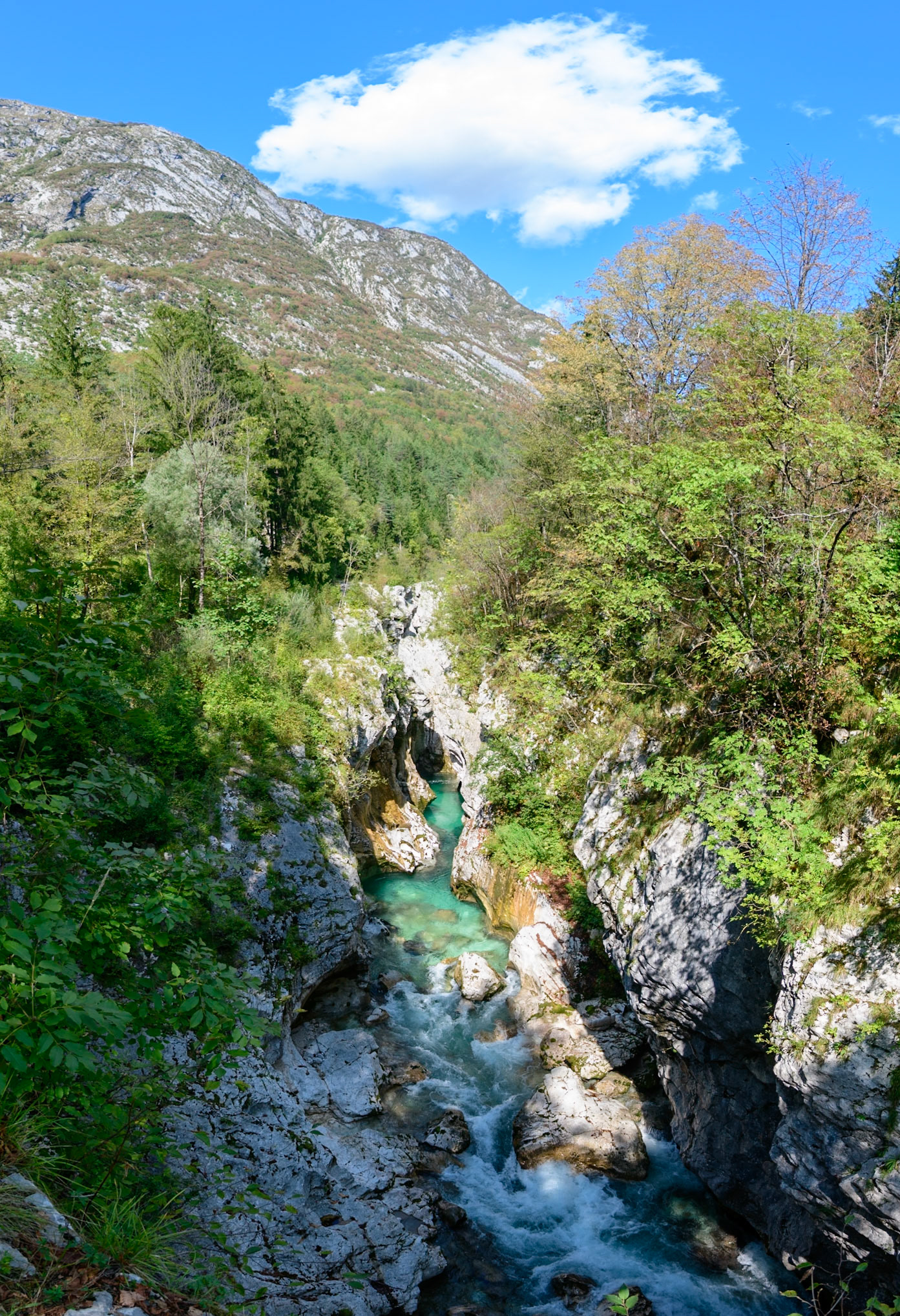 DSC_9908-Pano