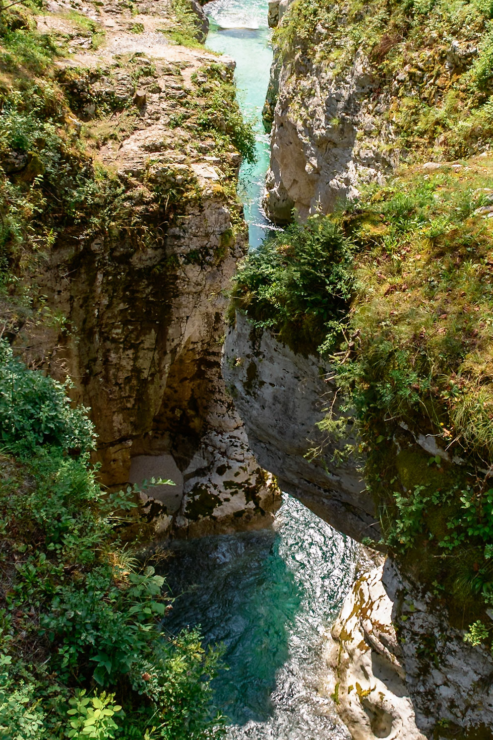 DSC_9765