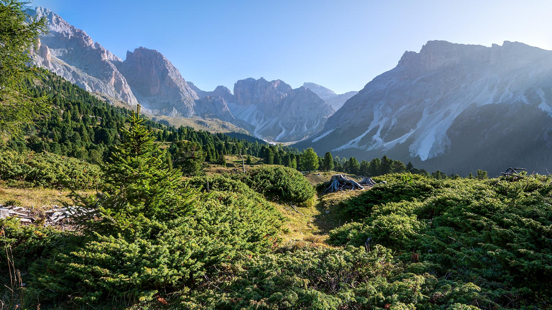 NZ6_3186-Bearbeitet