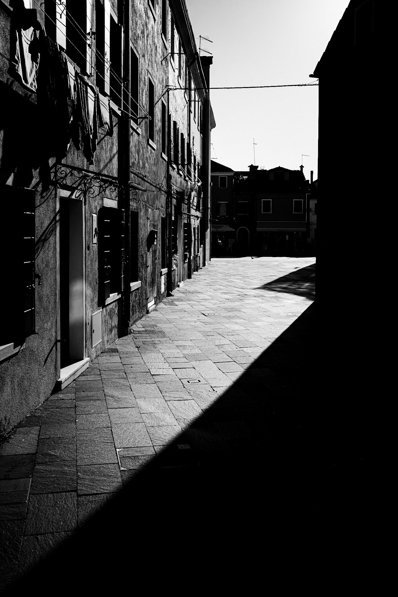 WZ8_5837