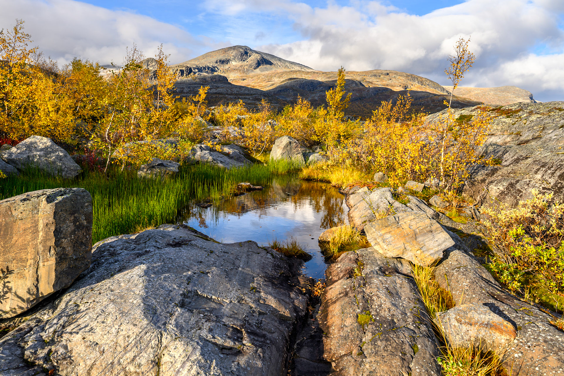 WZ8_2043-HDR