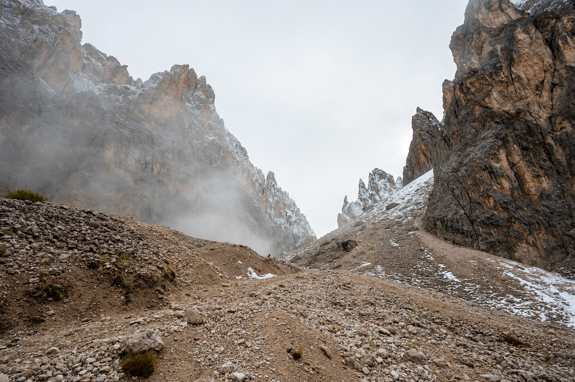 NZ6_1619
