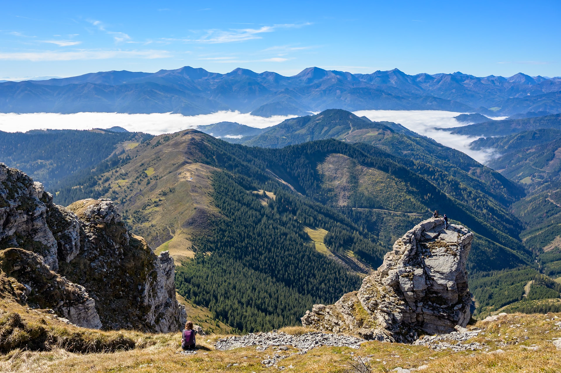 NZ6_1764