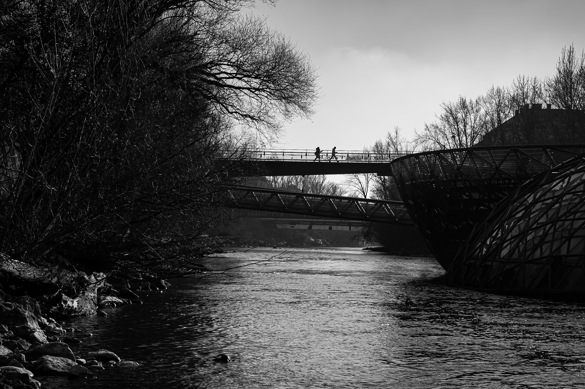 WZ6_8183