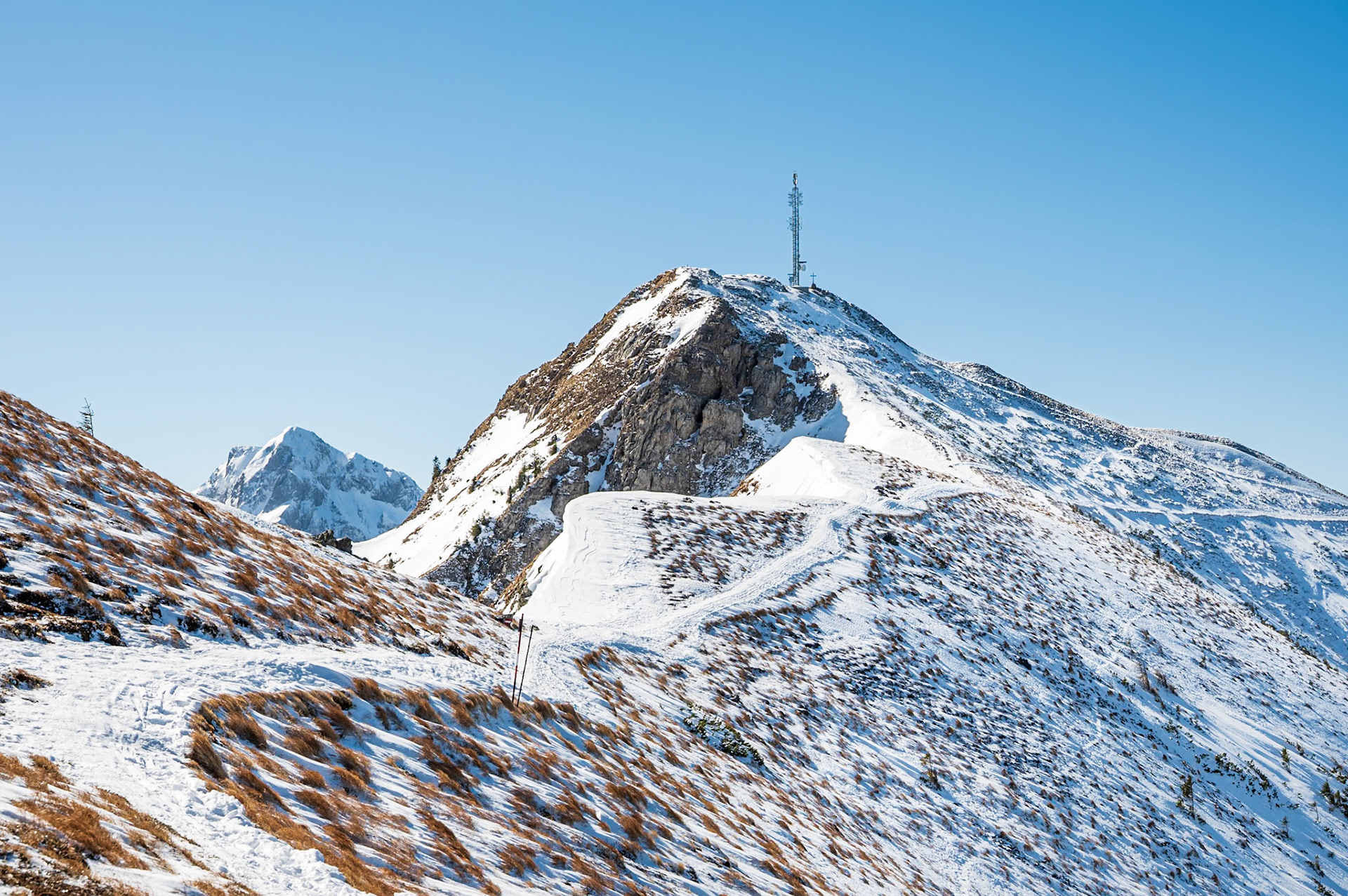 NZ6_4957