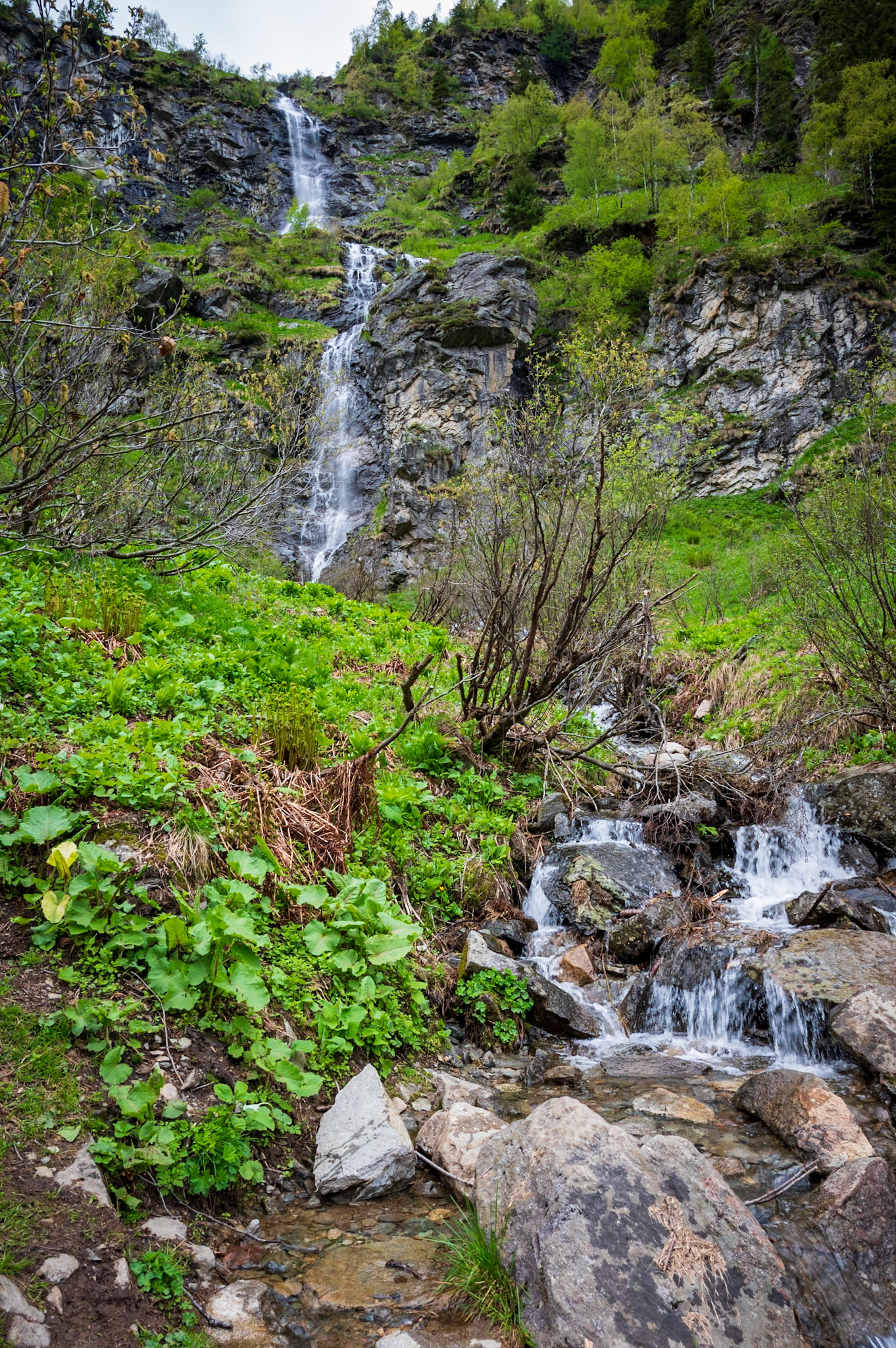 NZ6_0212