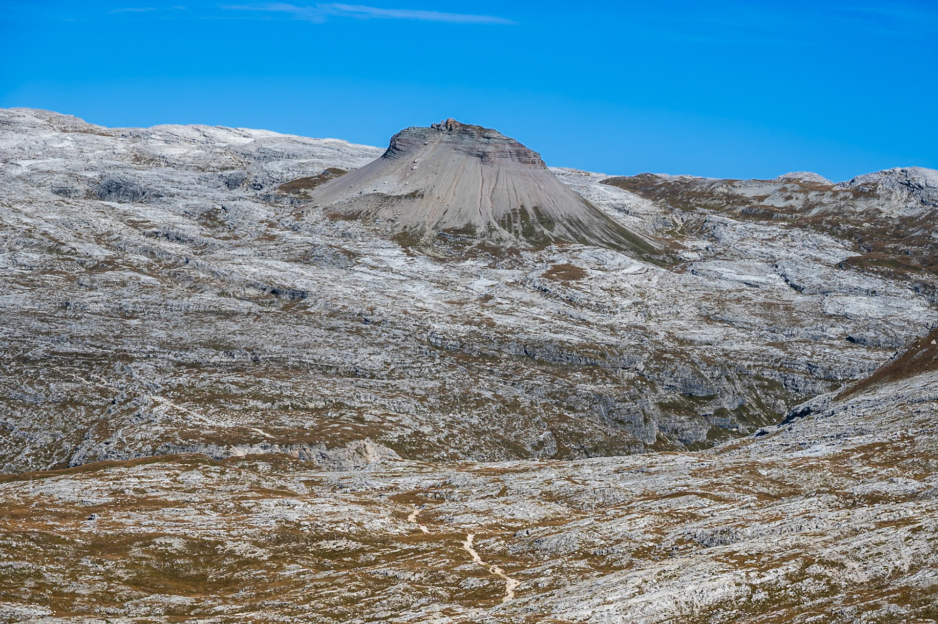 NZ6_3516
