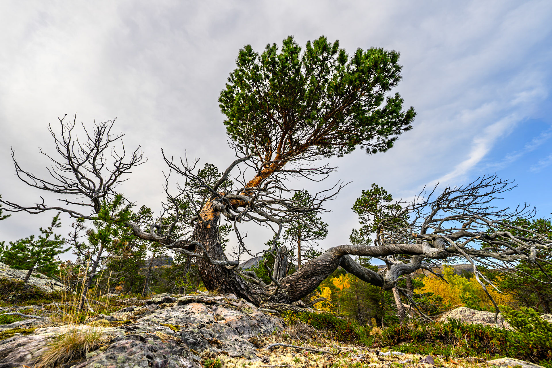 WZ8_1447-HDR