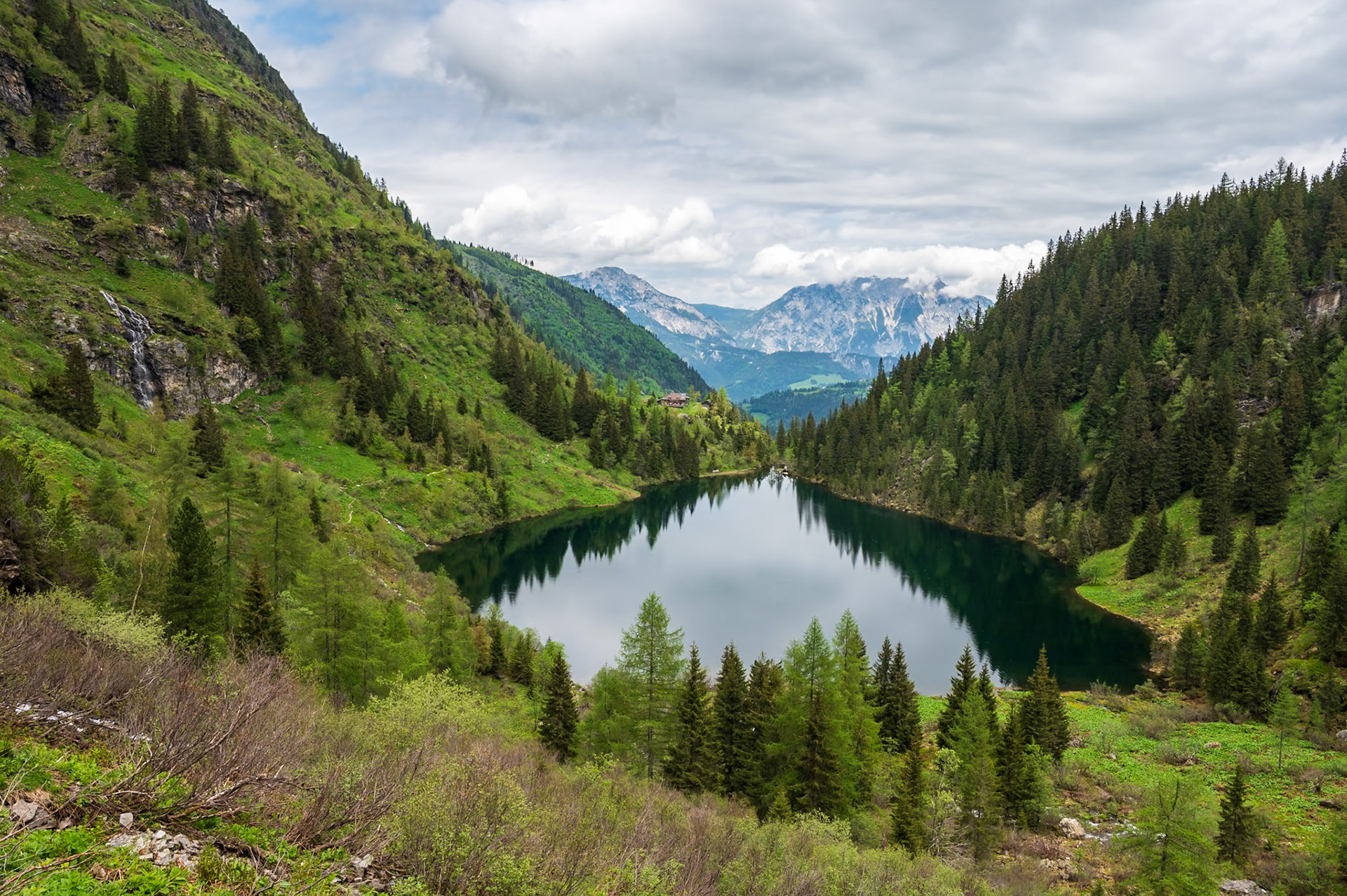 NZ6_0165