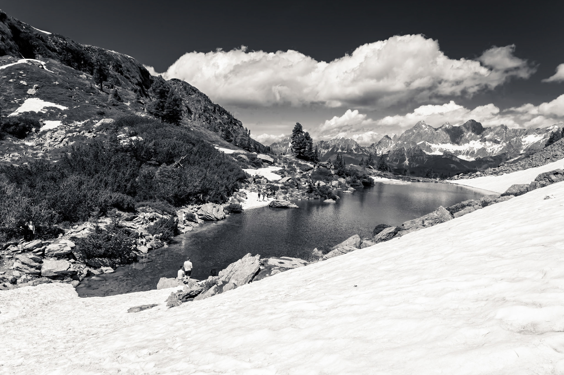 NZ6_0338