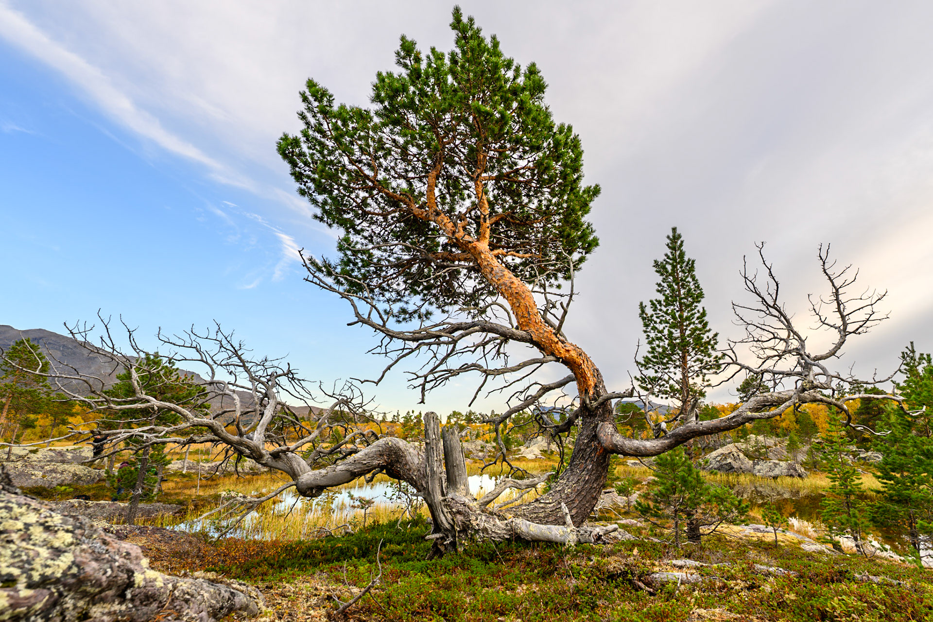WZ8_1469-HDR
