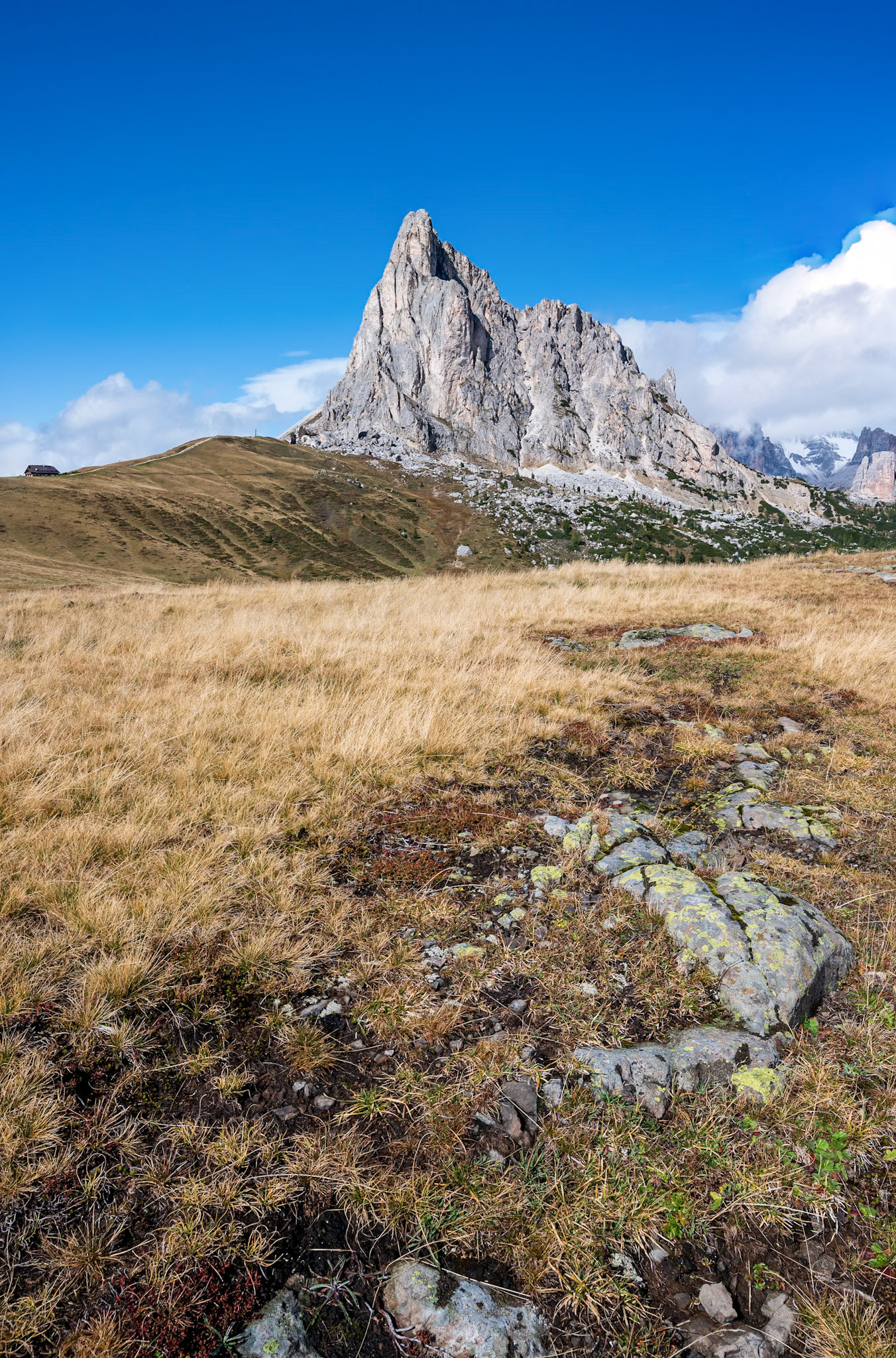 NZ6_1037-Bearbeitet
