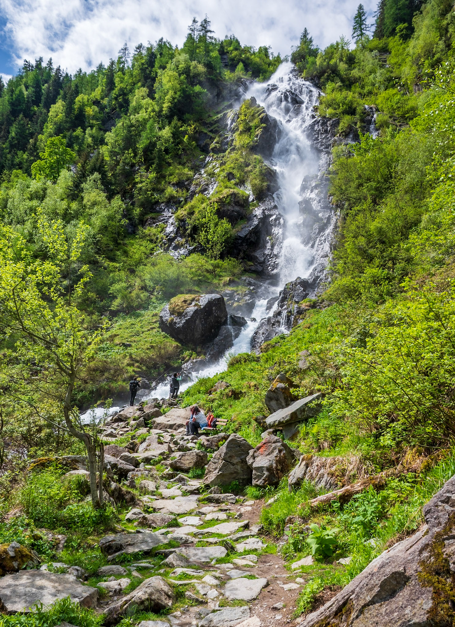 NZ6_0111