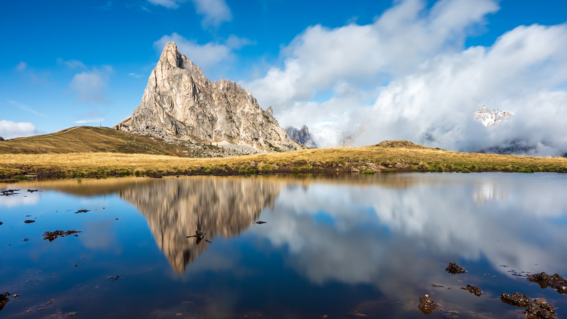 NZ6_0998
