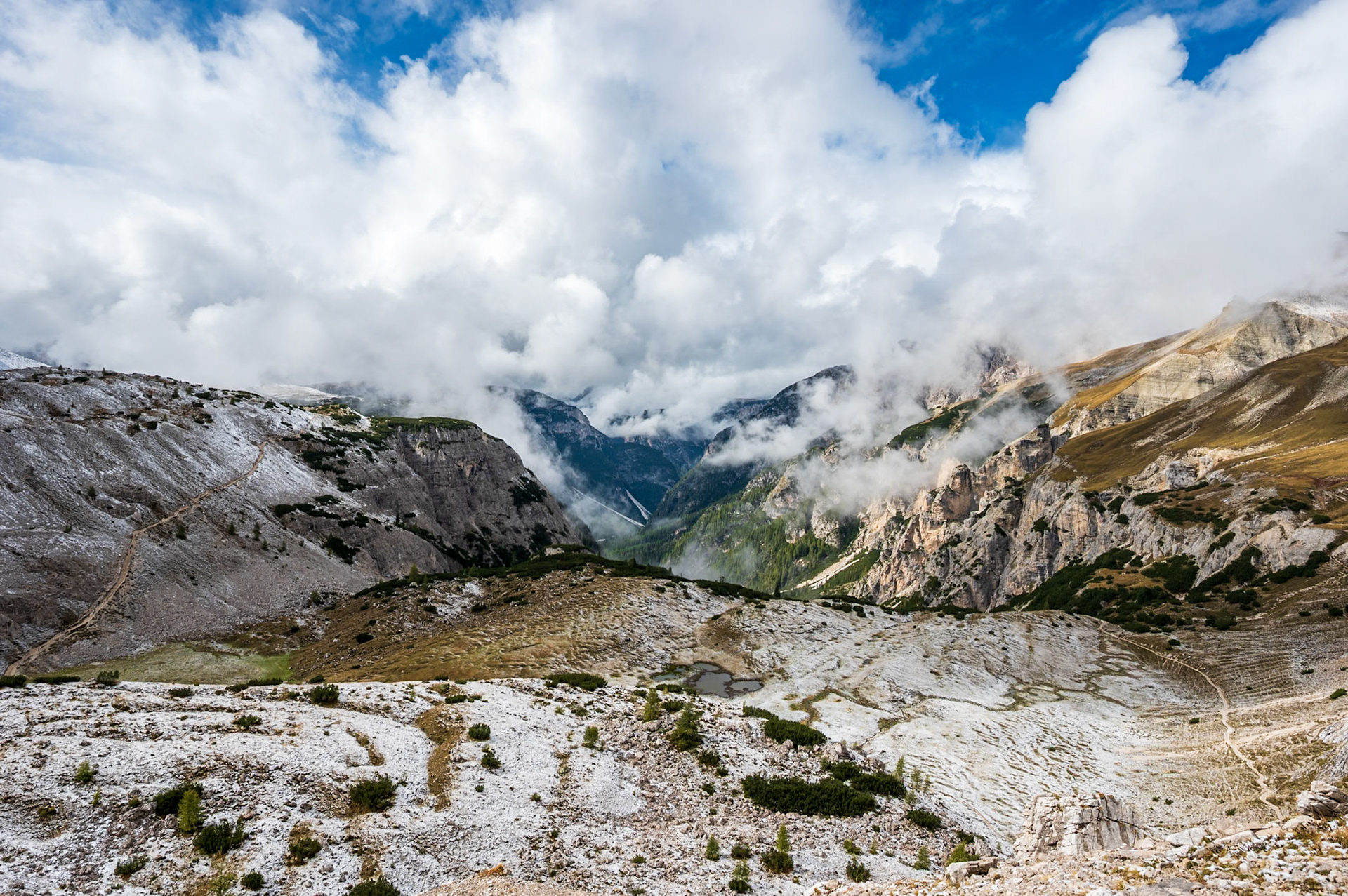 NZ6_0957