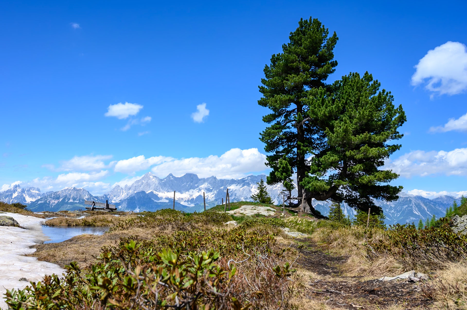 NZ6_0383