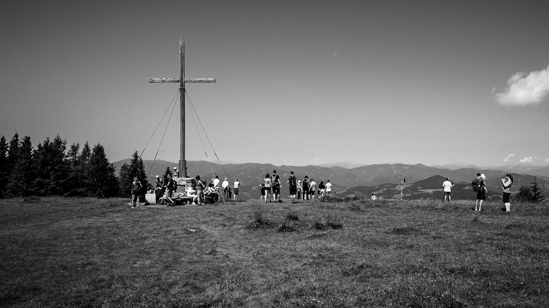 NZ6_3044