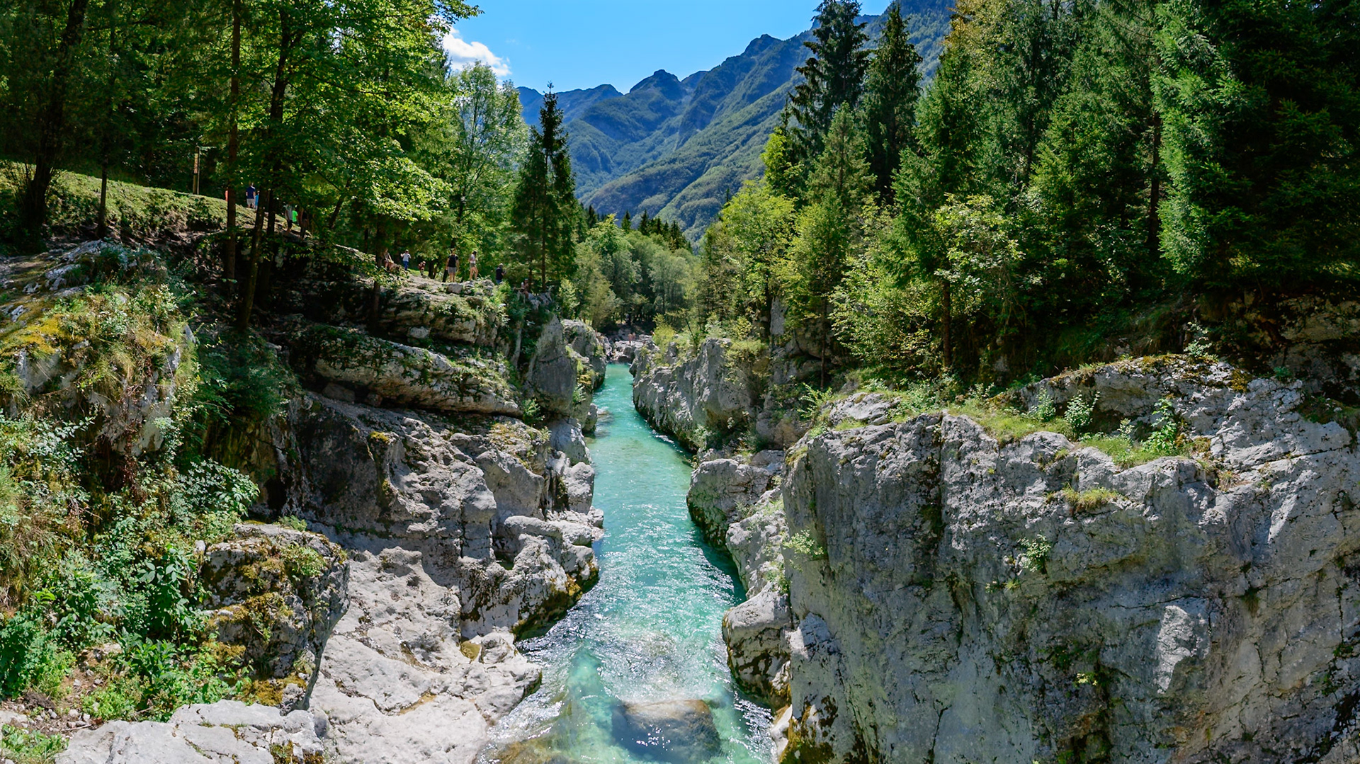 DSC_9831-Pano