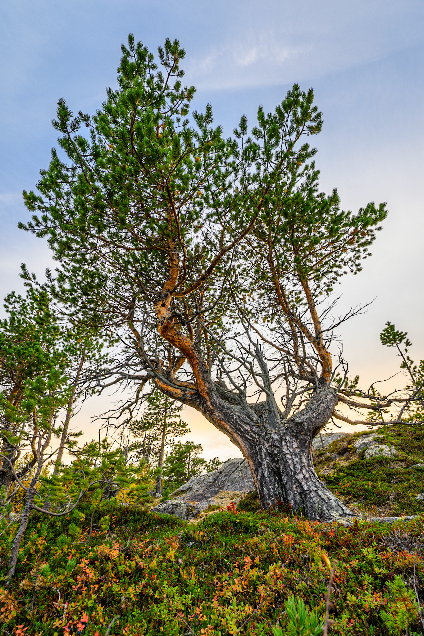 WZ8_1498-HDR